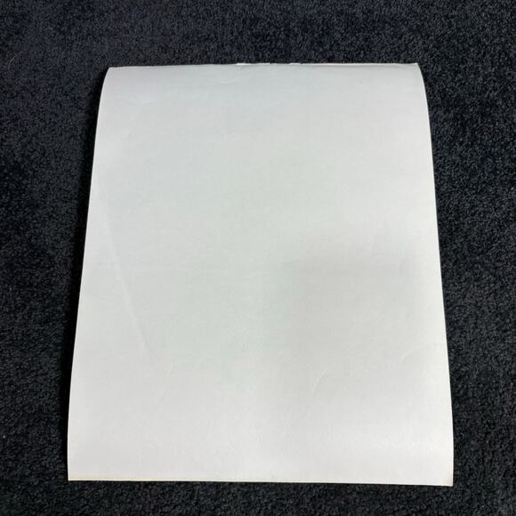 Arthur Singer Portfolio of Bird Prints #7 Western Meadowlark - Vintage Botanical - Picture 6 of 6